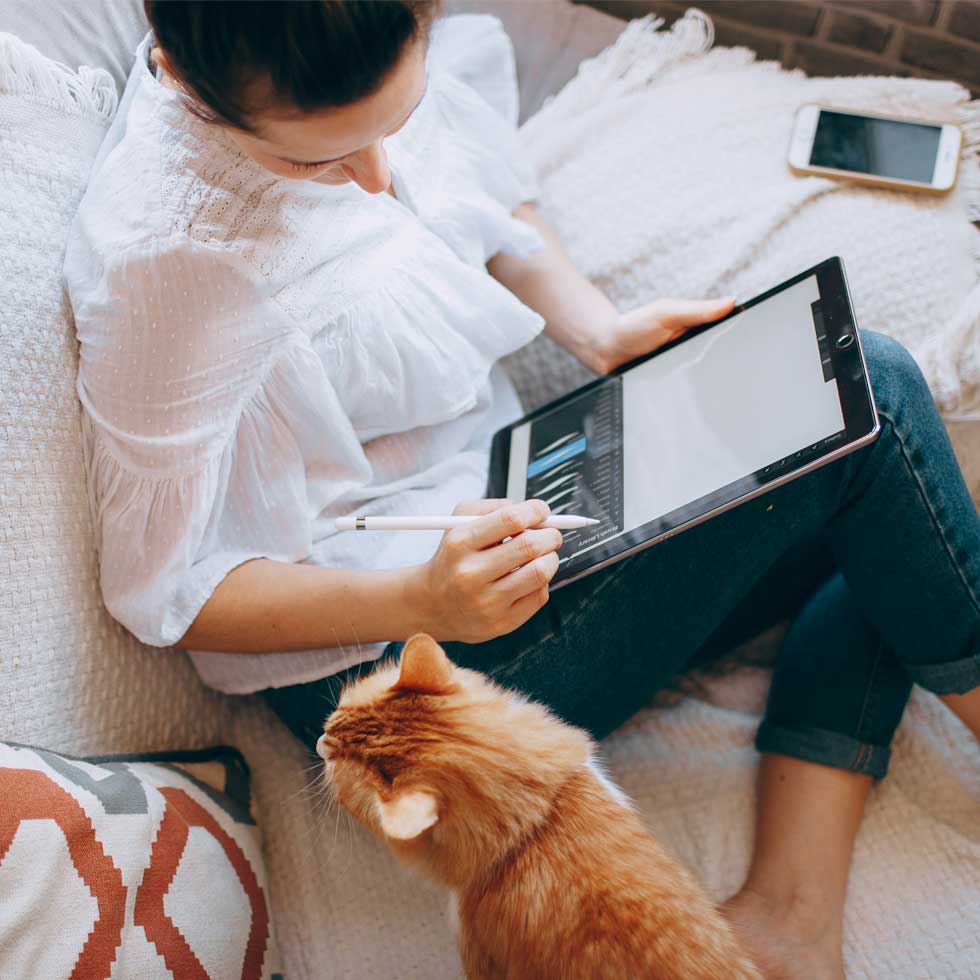 woman remote working on tablet sitting on couch with cat
